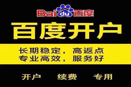 经典案例：专业SEM托管如何实现ROI最大化